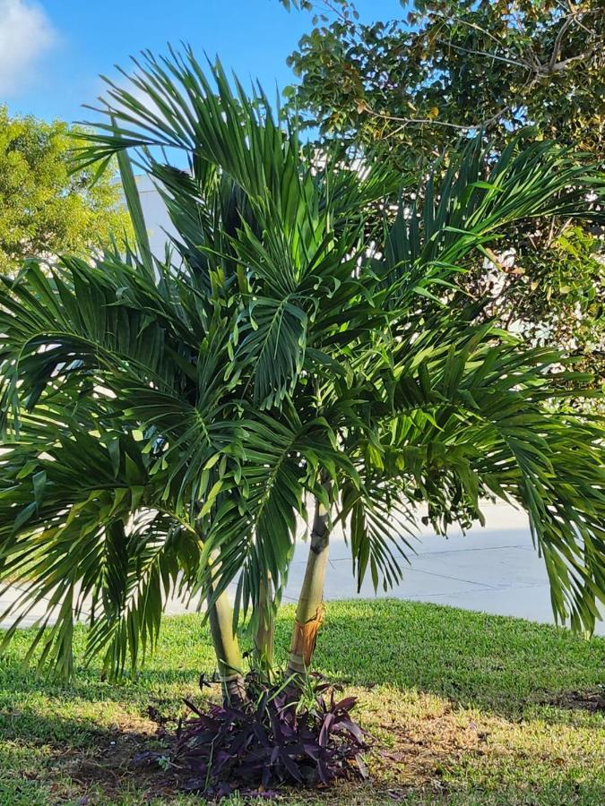 Lixylouis Minutes From Miami International Airport Apartment Princeton Bagian luar foto
